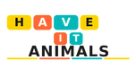 Have it Animals - Home
